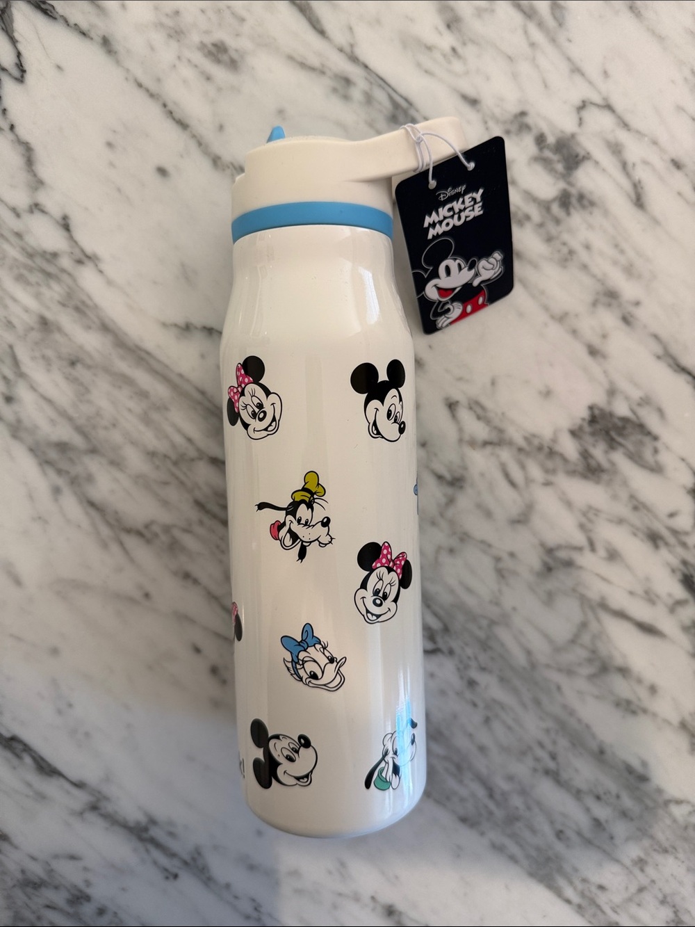 NEW Disney Zak! Vacuum Insulated Water Bottle